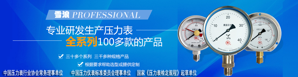 yp街机刮刮卡专业研发生产压力表全系列100多款产品
